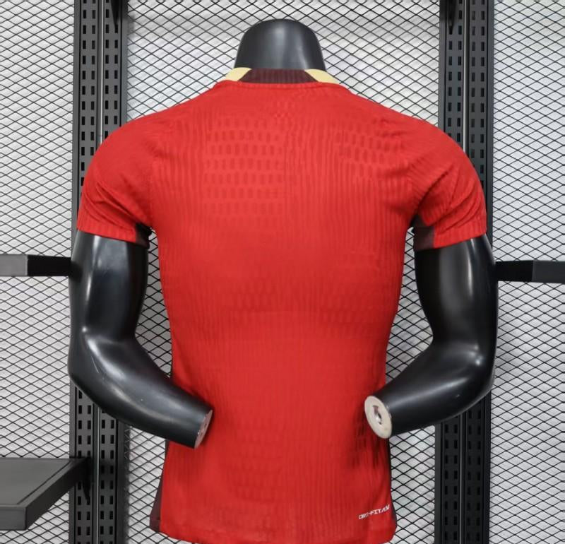 Maillot CFA Nike 25/26