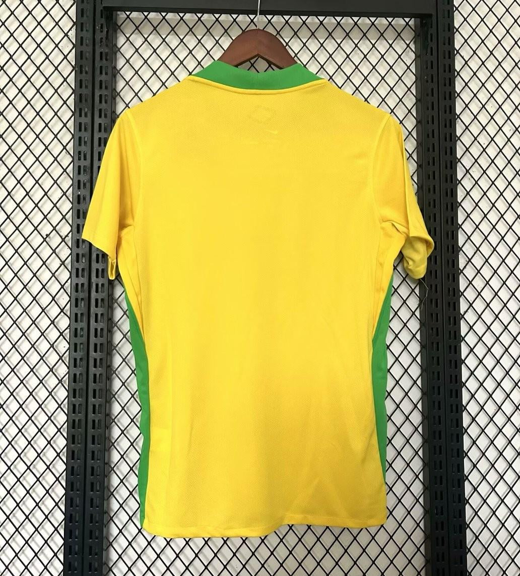 Maillot Brésil  Nike 25/26