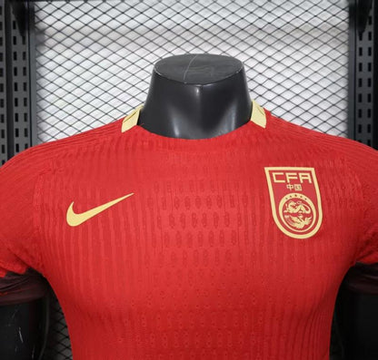 Maillot CFA Nike 25/26
