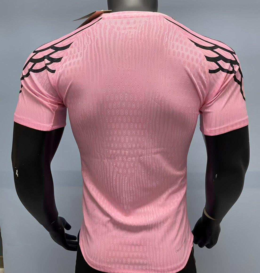 Maillot Paris Jordan 25/26